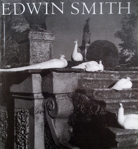 Edwin Smith 555
