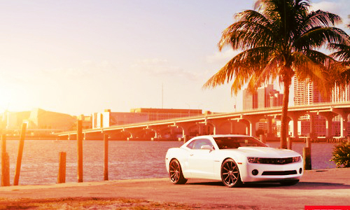 Tumblr_m6e543dojt1ryl230o1_500_large