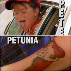 little pete