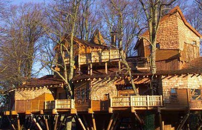  photo TheFLOCKSHOUSE_zps1562d6d8.jpg