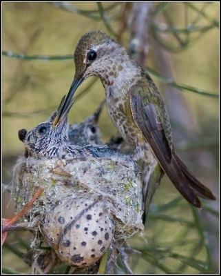  photo aa848f22-0200-4de1-a7f8-266810c44864_zps12bf63fd.jpg