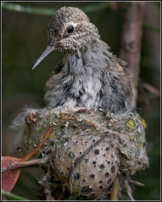  photo 1552ee4b-f16d-4d8c-838f-ffd09e704d30_zps365e54fa.jpg