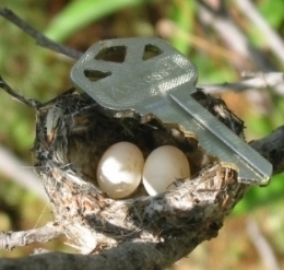  photo d05ca5e9-6ff0-43fe-a851-1307dbf107f8_zpsa557a473.jpg