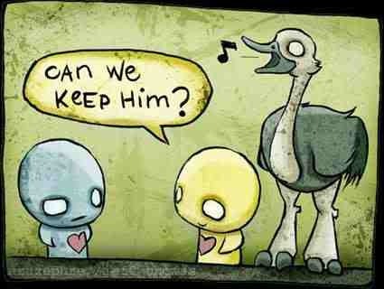 pon and zi photo: canwekeephim.jpg