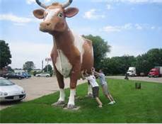  photo cowtipping_zps0da86e03.jpg