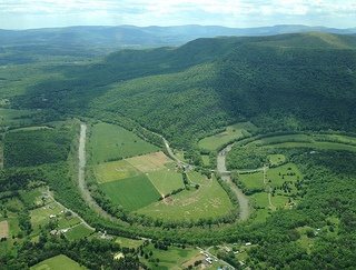 Signal Knob