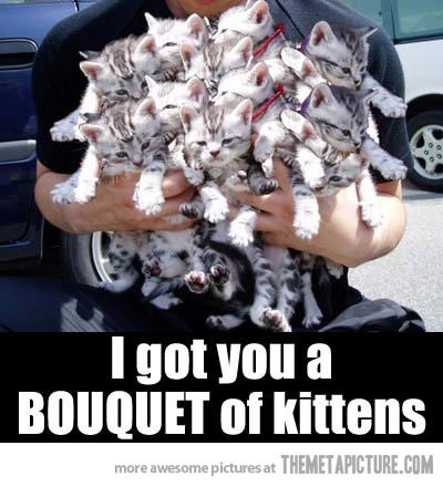 Hosted by imgur.com