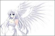 images (8)