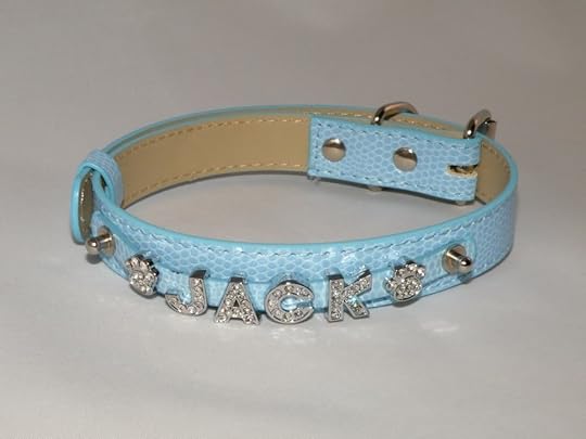 dog collar photo: DSCF2882.jpg
