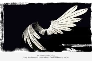 white wings photo: White Wings Whitewings.jpg