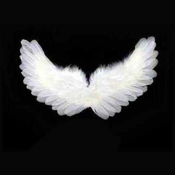 white wings photo: angel wings white_wings-2261.jpg