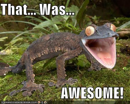  photo 3159973-8618887927-21815.jpg