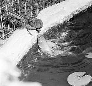 Children are additive