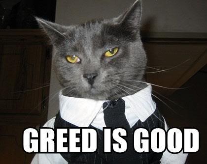 gordon gecko cat Pictures, Images and Photos