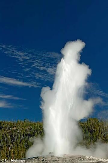 Old Faithful Geyser Photos