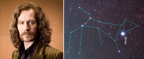Sirius Black and Canis Major