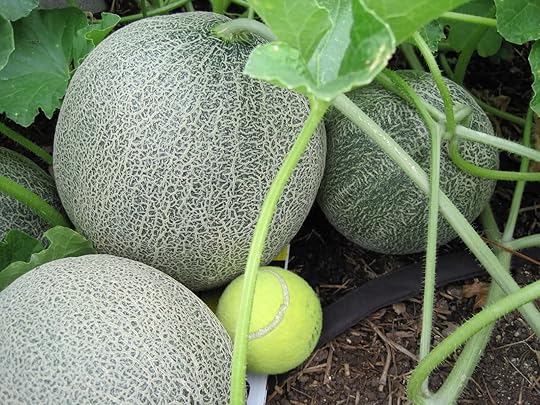 Image and video hosting by TinyPic