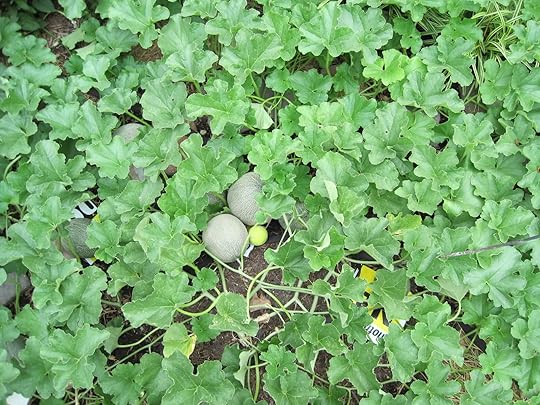 Image and video hosting by TinyPic