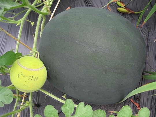 Image and video hosting by TinyPic