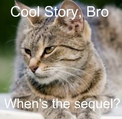 lol cat Pictures, Images and Photos