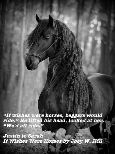  photo Bildschirmfoto2013-04-30um201908_zpsfe8d1e69.png