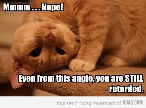 Image and video hosting by TinyPic