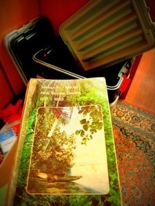 0379 | New Guinea Diaries 1871-1883 | Nikolai Nikolaevich Mikloucho-Maclay