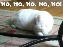 marshall doesn't want to see