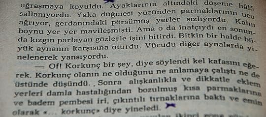 DSC 7008-İvan Alekseyeviç Bunin (San Fransiskolu Adam)