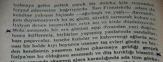 DSC 7009(İvan Alekseyeviç Bunin (San Fransiskolu Adam)