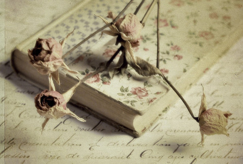 Image Hosted by ImageShack.us