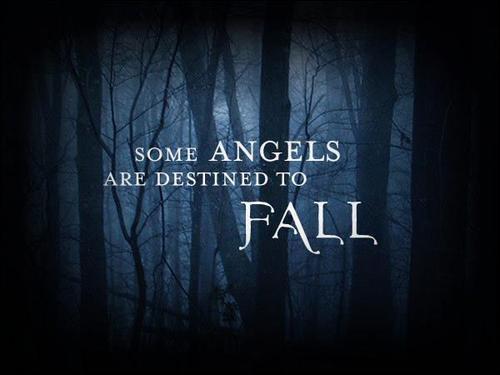 Image Hosted by ImageShack.us