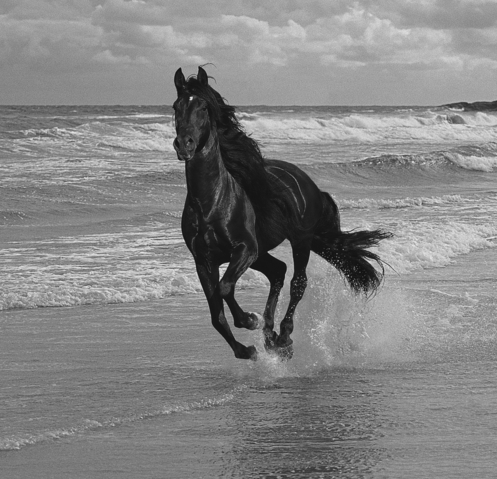  photo Bildschirmfoto2013-03-31um170206_zps0ba0a959.png