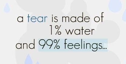 Image Hosted by ImageShack.us