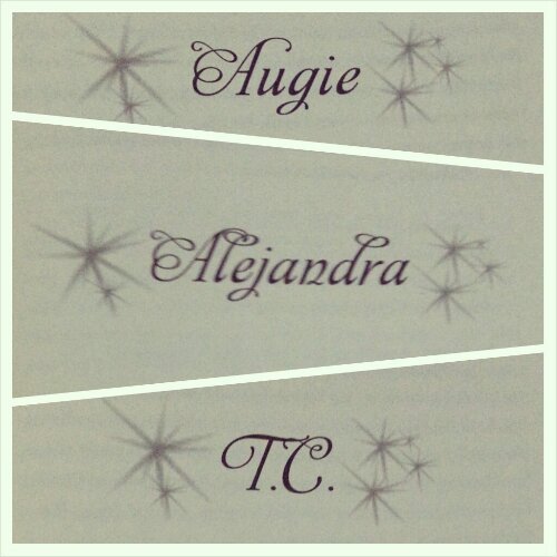 My Most Excellent Year - headings