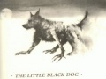 Little Black Dog