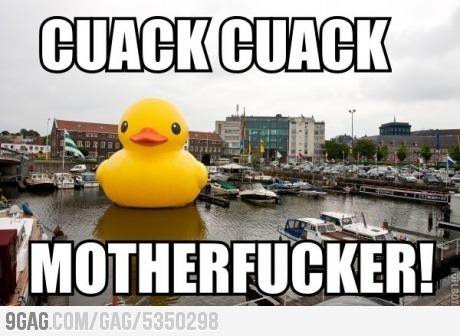Duck