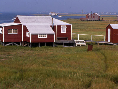  photo smith-house-colorLI_zpsbf8dedc1.jpg