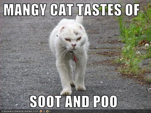  photo 45a10b5e3d2e6827050b5cf695f24c35_zps4c31da48.jpg