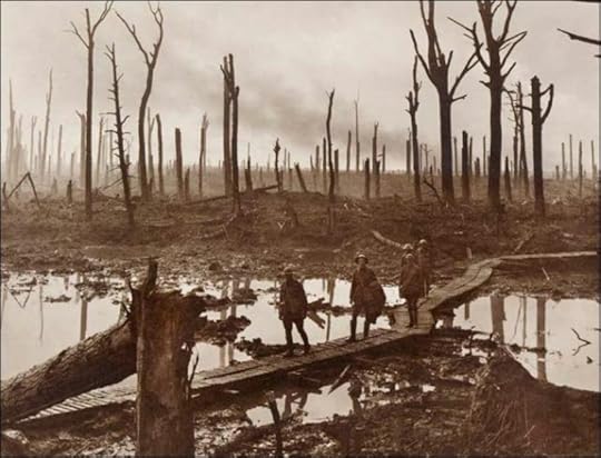  photo Chateau_Wood__Flanders_1917_op_640x488_zps0b0d584c.jpg