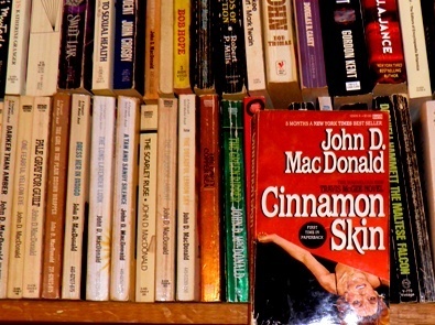 pic of my copy of CINNAMON