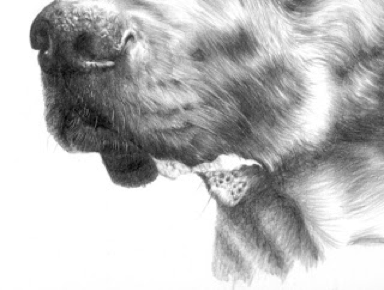  photo Bildschirmfoto2013-02-07um070418_zps3c67ebe0.png