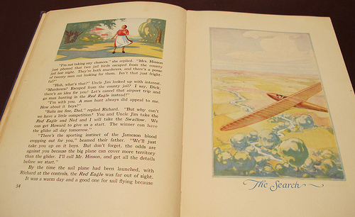 The Red Eagle by Alexander Key