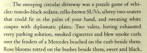 bits and bobs from The Dream Thieves