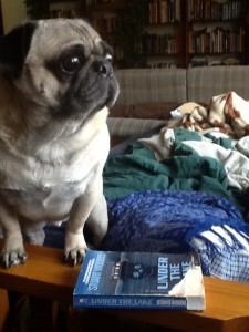 pickles_regrets_nothing