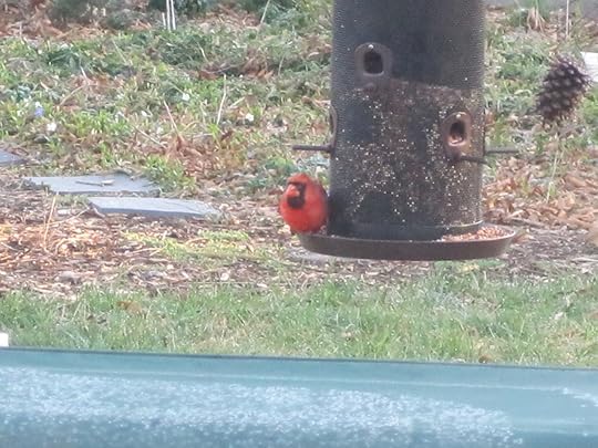 Image and video hosting by TinyPic