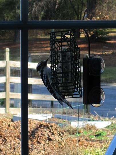 Image and video hosting by TinyPic