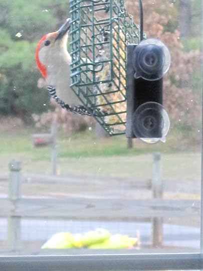 Image and video hosting by TinyPic