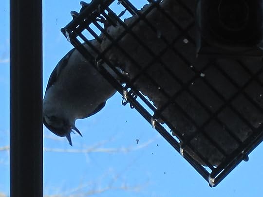 Image and video hosting by TinyPic