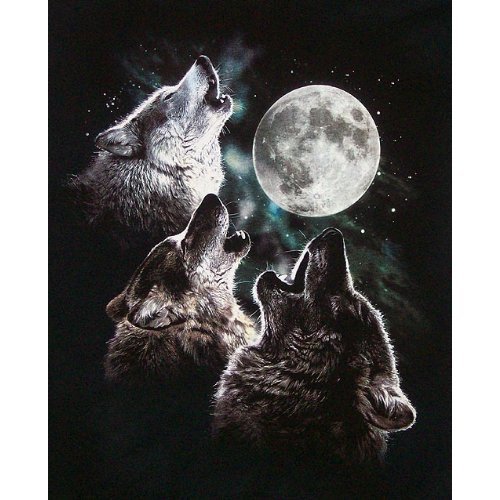 super special magic powers